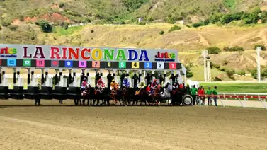 ¡Último minuto! El Instituto Nacional de Hipódromos otorgó amnistía general ¡Último minuto! El Instituto Nacional de Hipódromos otorgó amnistía general