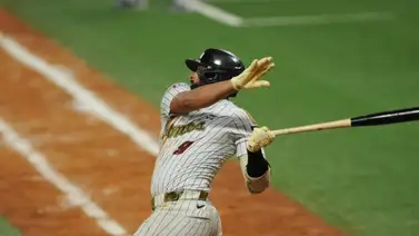 LVBP: Este detalle de poder también sugiere que los Leones del Caracas necesitan reestructurarse LVBP: Este detalle de poder también sugiere que los Leones del Caracas necesitan reestructurarse