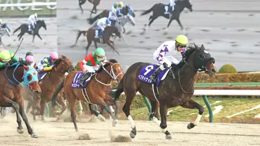 ¡Mucho cuidado con estos juveniles! La jornada del sábado presenta mucha actividad para ejemplares en su primer año ¡Mucho cuidado con estos juveniles! La jornada del sábado presenta mucha actividad para ejemplares en su primer año