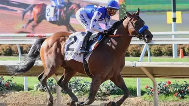¡Batalla de titanes! Nysos vs Nevada Beach por los $200,000 que repartirá el Laffit Pincay Jr. S. (G2) en Santa Anita Park ¡Batalla de titanes! Nysos vs Nevada Beach por los $200,000 que repartirá el Laffit Pincay Jr. S. (G2) en Santa Anita Park