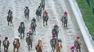 El Mes de las Rosas concluyó con cifras históricas y sorprendentes que pusieron a los venezolanos en la cima como nunca antes El Mes de las Rosas concluyó con cifras históricas y sorprendentes que pusieron a los venezolanos en la cima como nunca antes