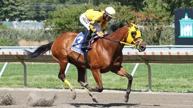 ¡Back to back! Para el propietario de Gran Yaco y Little Vic esta tarde en Tampa Bay Downs ¡Back to back! Para el propietario de Gran Yaco y Little Vic esta tarde en Tampa Bay Downs