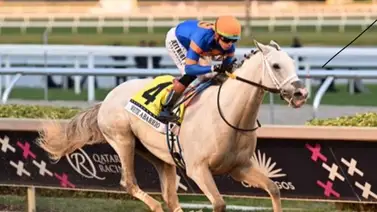 ¡Oficial! White Abarrio no estará presente este sábado en el Mr. Prospector S. Grado 3 en Gulfstream Park ¡Oficial! White Abarrio no estará presente este sábado en el Mr. Prospector S. Grado 3 en Gulfstream Park