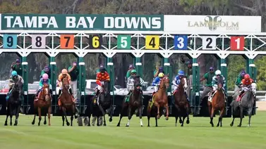 ¡Arrase total! Venezolanos ganaron todas las carreras programadas en Tampa Bay Downs ¡Arrase total! Venezolanos ganaron todas las carreras programadas en Tampa Bay Downs