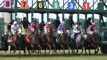Centros de entrenamientos surgen como alternativas en caso de que Gulfstream Park quede fuera Centros de entrenamientos surgen como alternativas en caso de que Gulfstream Park quede fuera