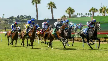 Septiembre quedó grabado con cifras históricas que catapultaron a los venezolanos a un nivel jamás visto en Estados Unidos Septiembre quedó grabado con cifras históricas que catapultaron a los venezolanos a un nivel jamás visto en Estados Unidos