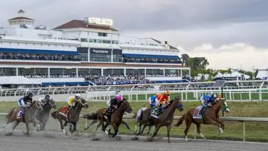 Gulfstream Park podría seguir operando por tres años más en caso de aprobarse la Ley Gulfstream Park podría seguir operando por tres años más en caso de aprobarse la Ley