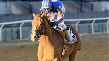 Kentucky Derby 2026: Paladin mejora su cotización y se afianza como segundo favorito detrás de Ted Noffey Kentucky Derby 2026: Paladin mejora su cotización y se afianza como segundo favorito detrás de Ted Noffey