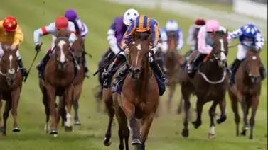 Los venezolanos dejan grandes marcas: no solo continúan creándose, sino que pulverizan récords y desafian lo inimaginable Los venezolanos dejan grandes marcas: no solo continúan creándose, sino que pulverizan récords y desafian lo inimaginable