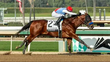 Lesión pone fin a la carrera de Barnes: El prometedor hijo de Into Mischief es retirado a un nuevo rol Lesión pone fin a la carrera de Barnes: El prometedor hijo de Into Mischief es retirado a un nuevo rol