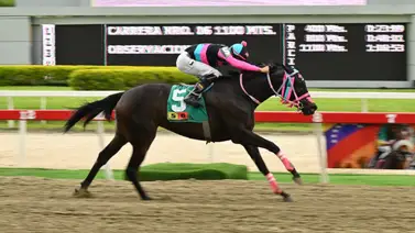 Fin de ciclo exitoso: El Stud Andrea Stable confirma la transición de sus purasangres Fin de ciclo exitoso: El Stud Andrea Stable confirma la transición de sus purasangres