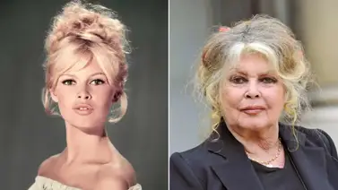 Herencia de Brigitte Bardot en el ojo del huracán: ¿Quién se queda con su dinero? Herencia de Brigitte Bardot en el ojo del huracán: ¿Quién se queda con su dinero?