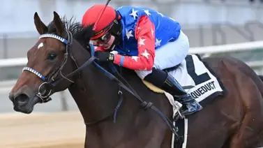 Kentucky Oaks: El Busanda Stakes de $150.000 está en la Ruta hacia los Lirios este fin de semana en New York Kentucky Oaks: El Busanda Stakes de $150.000 está en la Ruta hacia los Lirios este fin de semana en New York