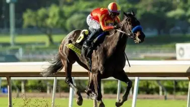 El Santa Ynez Stakes se corre en Santa Anita Park y reparte puntos para la Kentucky Oaks El Santa Ynez Stakes se corre en Santa Anita Park y reparte puntos para la Kentucky Oaks