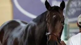 Entrenador Mandella lo confirma: Se retira Tamara afectada por una "Nube Negra" de lesiones