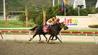 El brindis de fin de año: La Rinconada conmemora el duelo hípico que marcó la temporada El brindis de fin de año: La Rinconada conmemora el duelo hípico que marcó la temporada